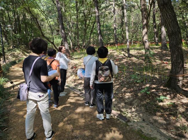 2024년 9월 찾아가는 산림치유프로그램 '100세 숲마실' 참조 이미지