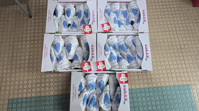 율원상회 과일 후원 참조 이미지